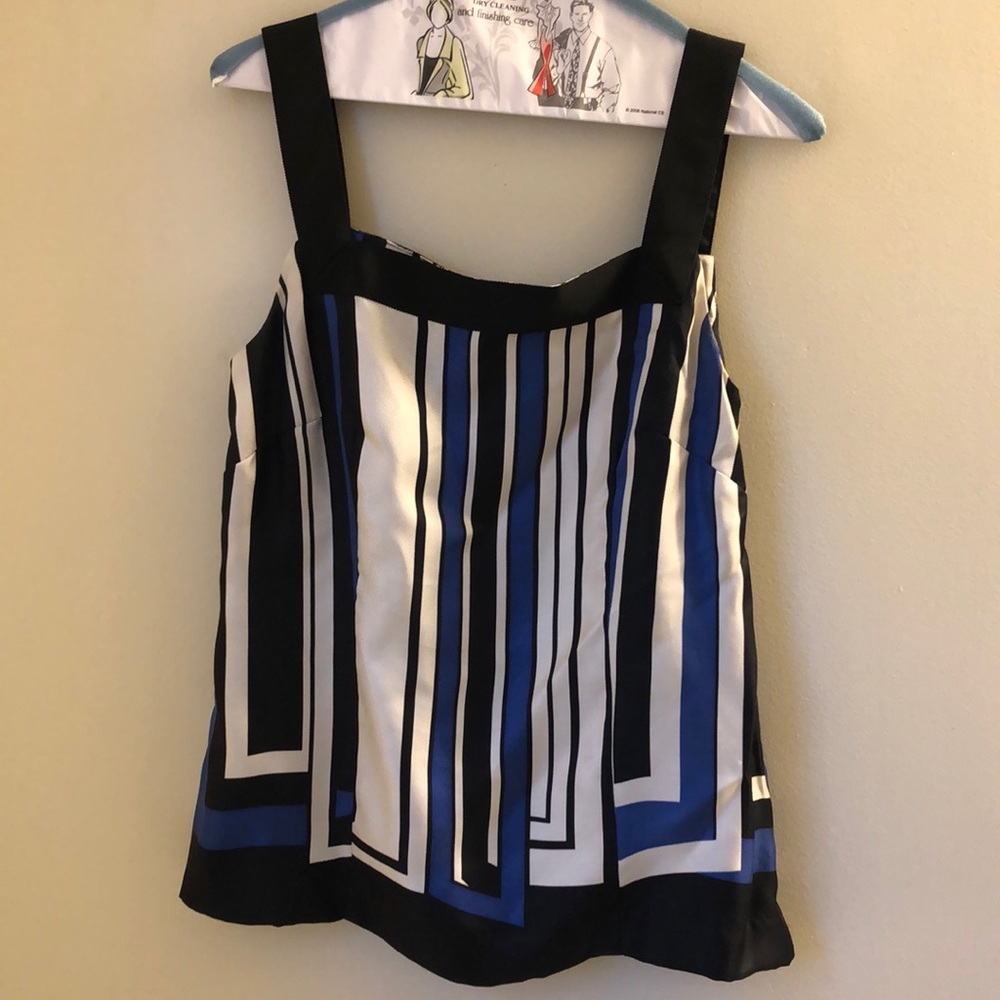 Ann Taylor blouse (silky)